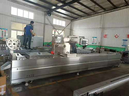 江蘇參片拉伸膜真空包裝機廠家電話