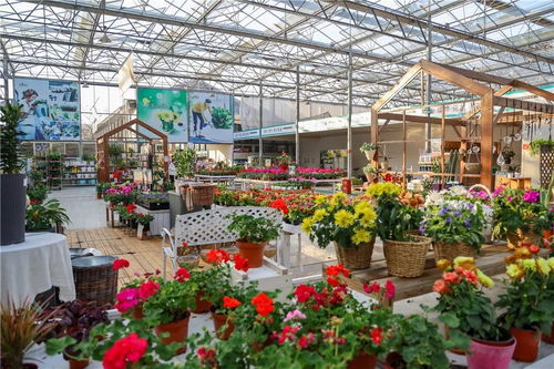 一份超全游玩攻略,去農(nóng)博園有它就夠了