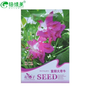 牽牛花 8種品種類型選擇 花卉種子陽臺盆栽園藝休閑產品 精美彩色包裝 7.重瓣大牽牛 約10粒