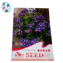 花種子 室內植物盆栽陽臺易種 大花波浪三色堇種子花籽花卉種子 種子 大花三色堇彩包/袋 - 京東觸屏版