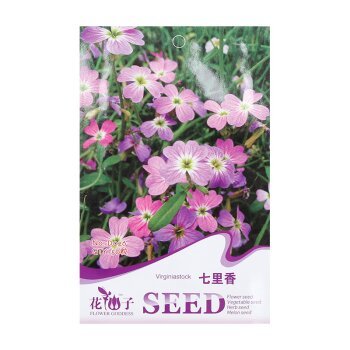 開心農場 陽臺四季易種盆栽花卉種子 七里香 七里香【圖片 價格 品牌 報價】-京東