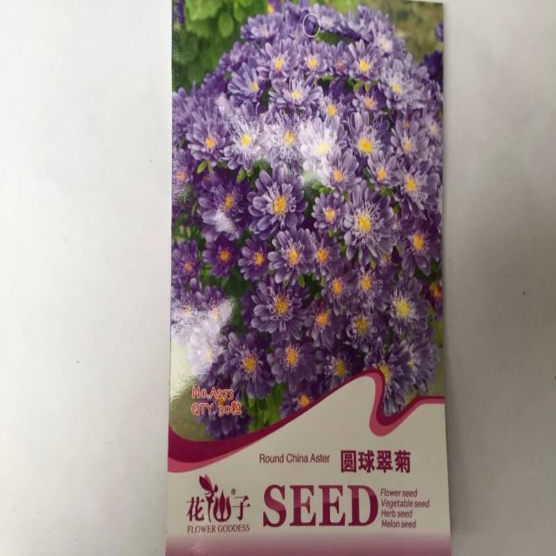 室內盆栽花卉種子 翠菊種子 50粒 陽臺翠菊