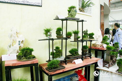 第八屆農博會 第十八屆花博會漳州開幕 12000多種產品亮相