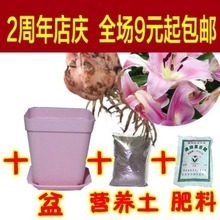 【薔薇花種子】_綠植園藝價格_最新最全綠植園藝返利優惠_一淘網