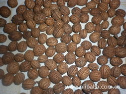 花卉種子 種苗產品列表 007商務站 全球網上貿易平臺 第91頁