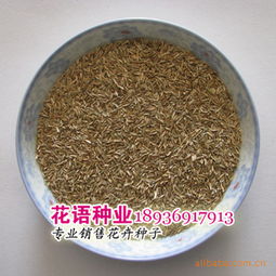 果樹苗子,草坪種子,綠化苗木江蘇沭陽縣花語花卉園藝場產品供應第3頁