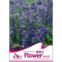 【薄荷種子】最新最全薄荷種子 產品參考信息