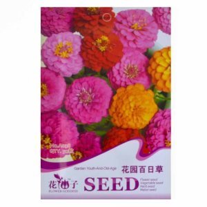 津沽園藝 花仙子系列 百日菊 百日草種子花卉種子 陽臺盆栽 庭院種植 園林美化 1包 【津沽園藝】 價格 報價 圖片