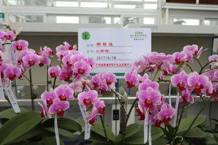 7000多個優(yōu)新品種集中展出 廣東種博會開幕 你來現(xiàn)場了嗎