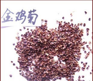 【出售新采地被類花卉種子 金雞菊種子 小波斯菊 金錢菊 孔雀菊】價格,廠家,圖片,花卉種子種苗,沭陽縣嘉禾苗木園藝場-