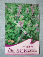 【香料種子】最新最全香料種子 產(chǎn)品參考信息