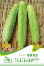 【黃瓜種子】最新最全黃瓜種子 產品參考信息
