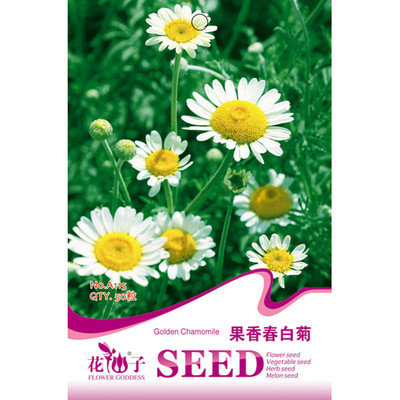 我要發芽 花卉種子 果香春白菊種子 紫錐花 菊花 盆栽 50粒/包 我要發芽園藝用品 【價格 圖片 品牌 報價】-蘇寧易購