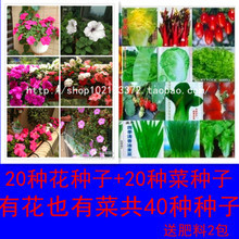 【盆栽花卉肥料】_綠植園藝價格_最新最全綠植園藝返利優惠_一淘網