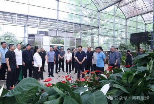 離石區考察團在廣州市考察學習