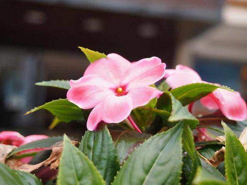 無論和誰在一起,記住這三句話,將受益良多