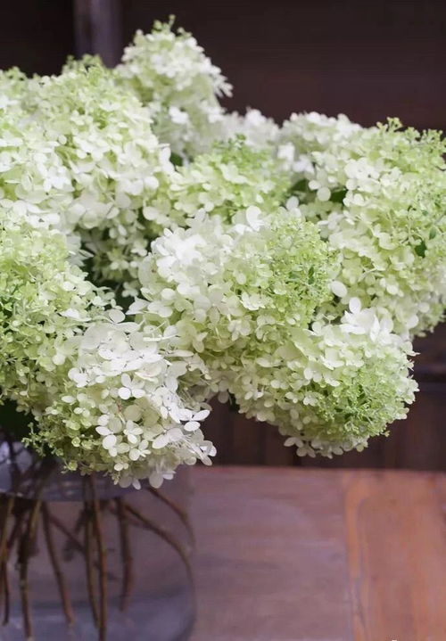 【學庚花藝培訓。花藝師基本素養】-