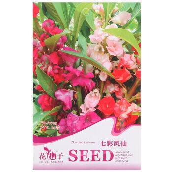 花景天 家庭種植花卉種子 家庭陽臺 園藝休閑 花卉種子.七彩鳳仙【圖片 價格 品牌 報價】-京東