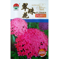 我要發芽 花卉種子 翠珠花種子 花壇花卉 陽臺盆栽 混色 鮮艷奪目 50粒/包【專賣店、旗艦店、報價大全】-蘇寧易購開放平臺