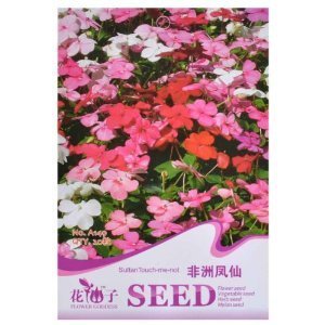 津沽園藝 花仙子系列 非洲鳳仙種子 花卉種子 花籽 盆栽種植 花園種植 庭院美化 1包-家居裝修-亞馬遜中國