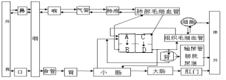 恩施州獨特的地形地貌以及溫潤的氣候.孕育了一大批有地方特色的農產品.為提高農產品質量.增強市場競爭力.許多地方建起了育苗工廠.讓&ldquo;種子萌發成幼苗 這個過程在車間內完成.根壯苗齊.種子用量和人力成本大大降低.種子萌發.需要什么外界條件?小明參觀了為&ldquo;六城同創 配套服務的某花卉公司育苗車間后.決定自己動手.探究一下&ldquo; 題目和參考答案
