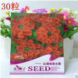 【杜鵑工程苗小苗毛鵑春鵑盆景庭院樹苗 25-35厘米和唯友 彩包觀花經典滿天星種子 菊類 勿忘我 紫羅蘭 七里香 百日草種子 多品種花卉四季播 紅繡球美女櫻哪個好】杜鵑工程苗小苗毛鵑春鵑盆景庭院樹苗 25-35厘米和唯友 彩包觀花經典滿天星種子 菊類 勿忘我 紫羅蘭 七里香 百日草種子 多品種花卉四季播 紅繡球美女櫻有什么區別-商品比較-