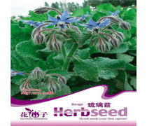 植物類種子企業黃頁