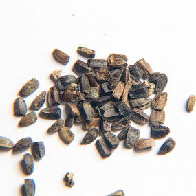 花卉種子益母草種子下載 7085363