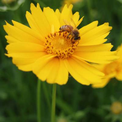 價格 廠家 中國供應商