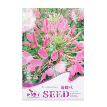 花種 花卉種子 庭院陽臺室內盆栽易種 滿天星 瓜葉菊 美女櫻彩包 醉蝶花【圖片 價格 品牌 報價】-京東
