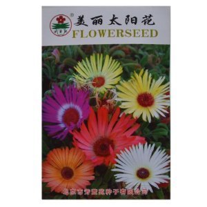 津沽園藝 芳萱苑系列 美麗太陽花種子 花卉種子 花種子 家庭種植 陽臺栽培 1包-津沽園藝-價格 報價 圖片