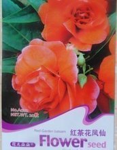 【鳳仙花種子批發】最新最全鳳仙花種子批發 產品參考信息