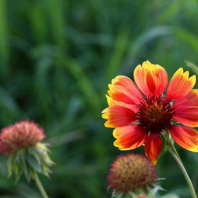 價格 廠家 中國供應商