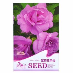 津沽園藝 花仙子系列 紫茶花鳳仙花種子 鳳仙種子 花卉種子花種子 陽臺盆栽 四季可播 1包 【津沽園藝】 價格 報價 圖片