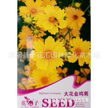 盆栽金雞菊_盆栽金雞菊價格_優質盆栽金雞菊批發/采購 