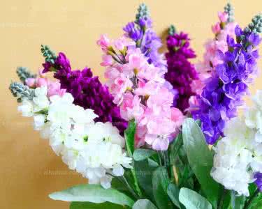 【供應(yīng)北京LVXIN牌宿根花卉種子飛燕草】圖片,海量精選高清圖片庫(kù)