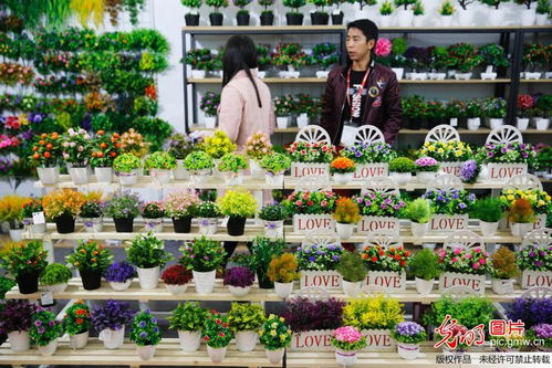第53屆全國(guó)工藝品交易會(huì) 數(shù)百種仿真花卉引醉客商
